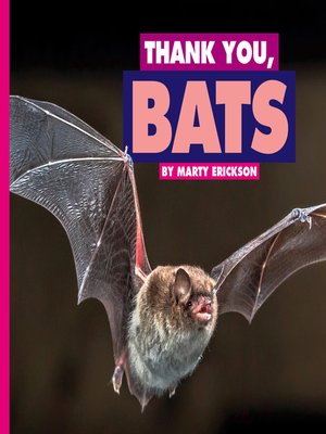 cover image of Thank You, Bats